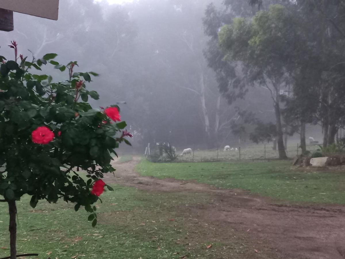 Wakkerstroom Forellenhof Guest Farm מראה חיצוני תמונה