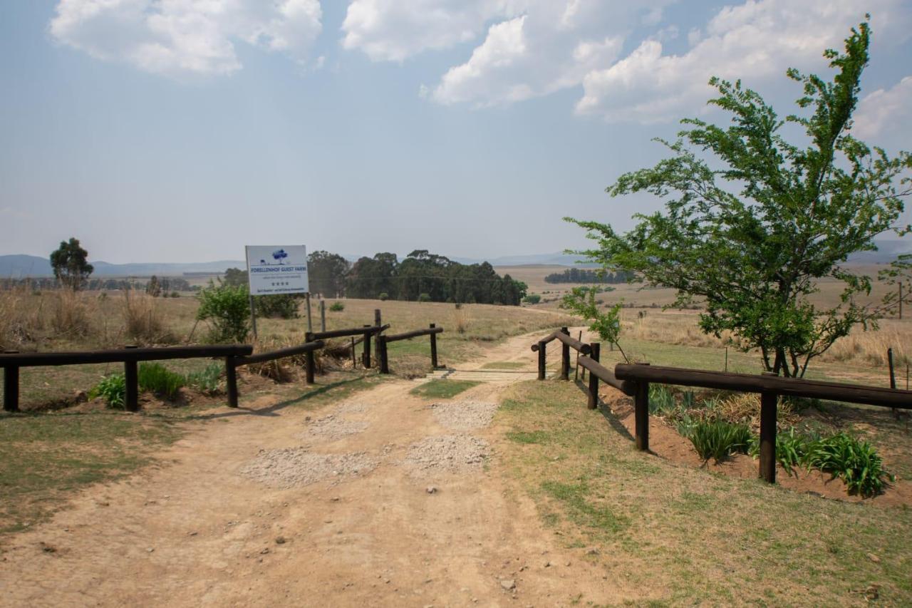 Wakkerstroom Forellenhof Guest Farm מראה חיצוני תמונה