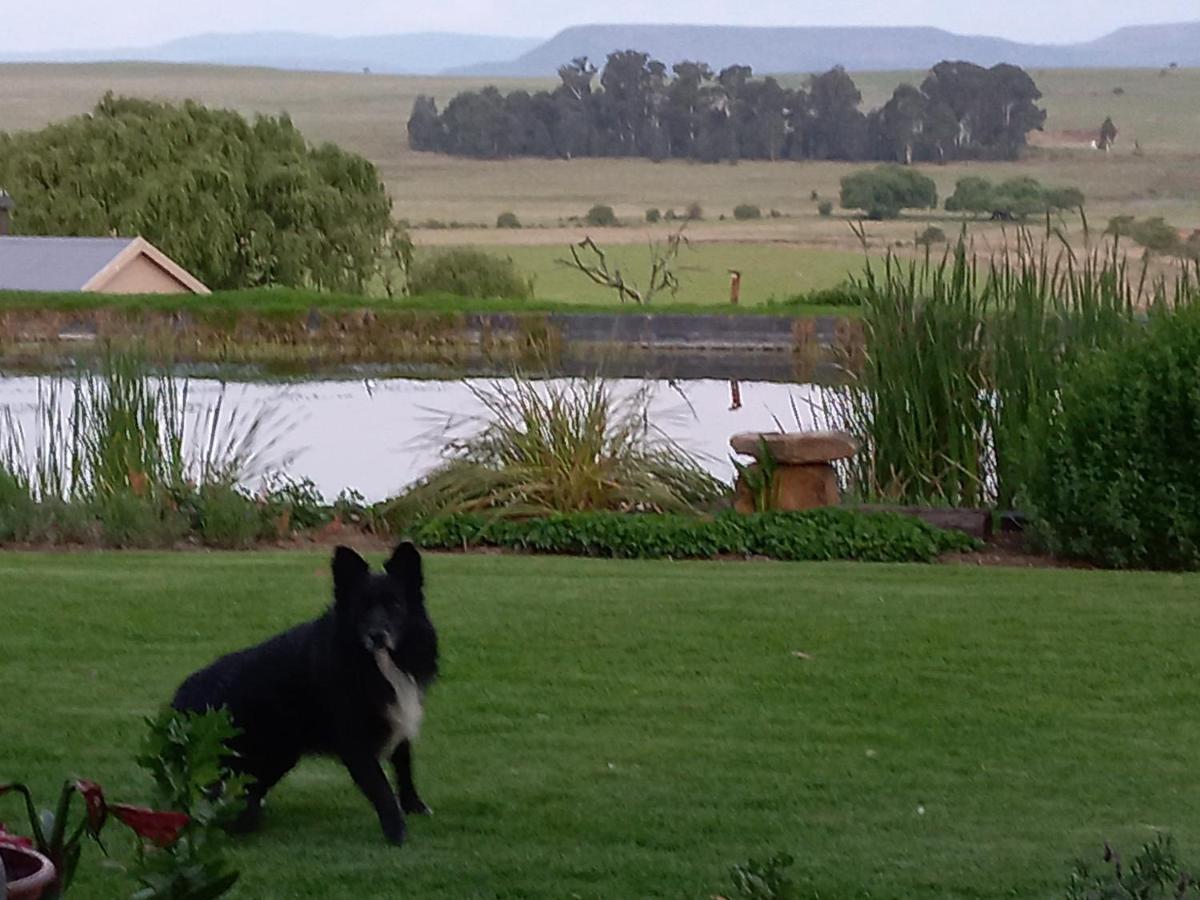 Wakkerstroom Forellenhof Guest Farm מראה חיצוני תמונה