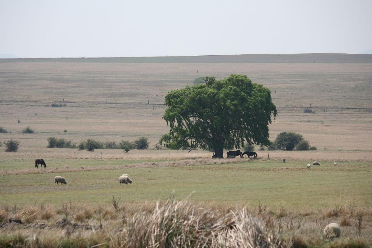 Wakkerstroom Forellenhof Guest Farm מראה חיצוני תמונה