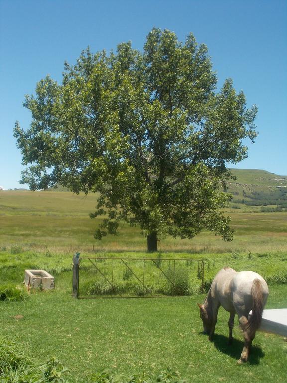 Wakkerstroom Forellenhof Guest Farm מראה חיצוני תמונה