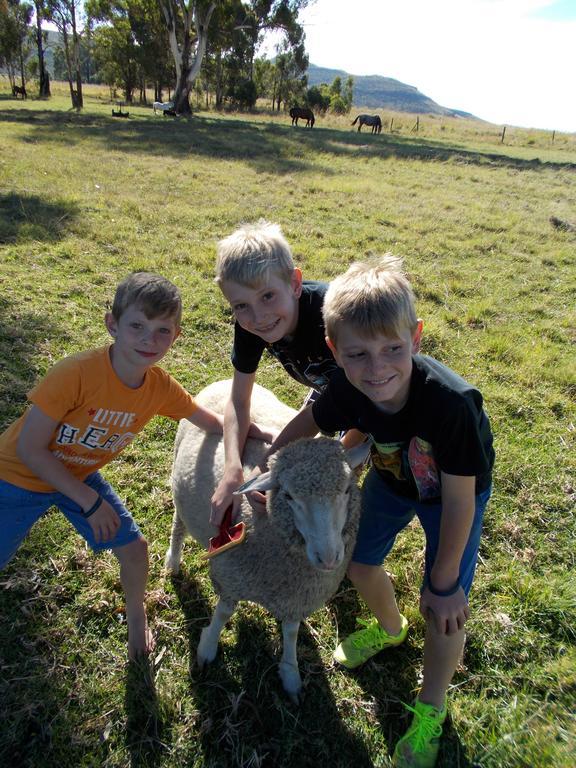 Wakkerstroom Forellenhof Guest Farm מראה חיצוני תמונה