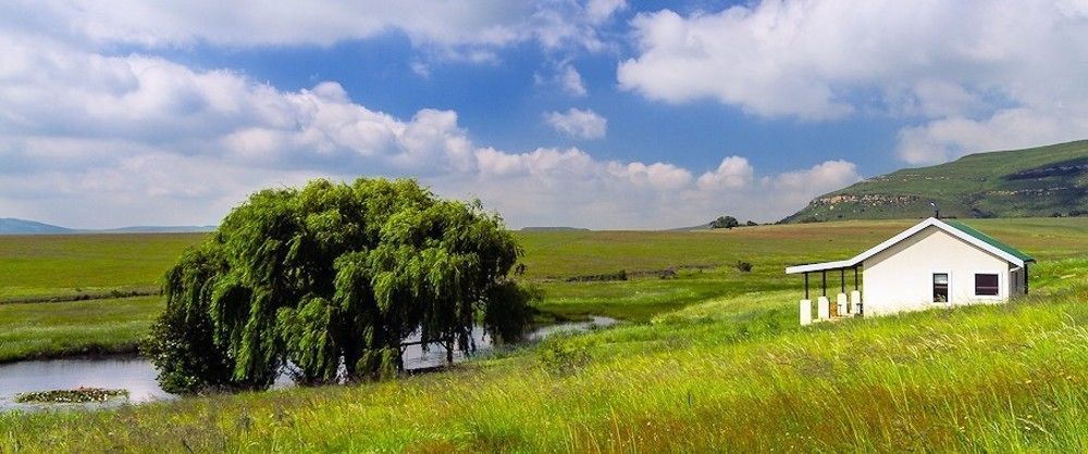 Wakkerstroom Forellenhof Guest Farm מראה חיצוני תמונה
